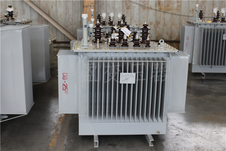 张掖S20-800kVA/10kV/0.4kV变压器